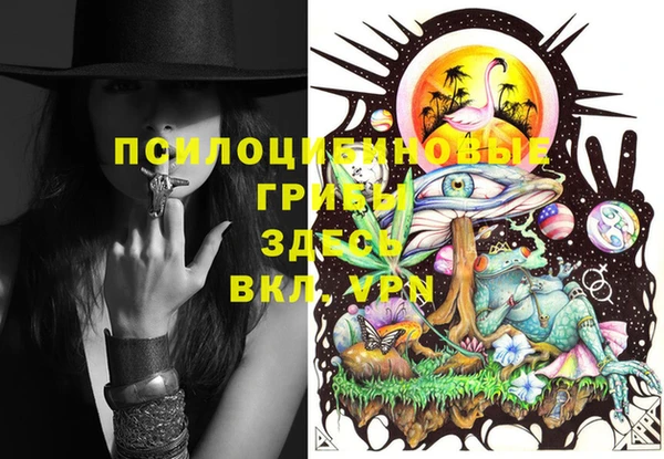 соль курить ск Вяземский