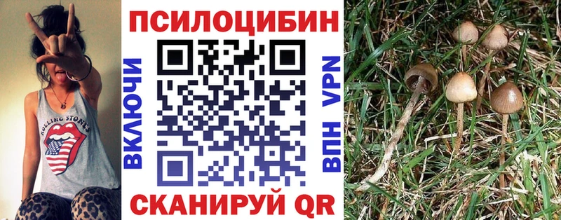 Псилоцибиновые грибы Psilocybine cubensis Купить где Будённовск