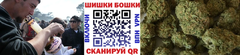 Купить Будённовск Шишки марихуана планчик